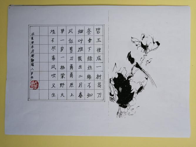 小学生8岁拿下全国硬笔书法最高奖10岁举办个人硬笔书法作品展