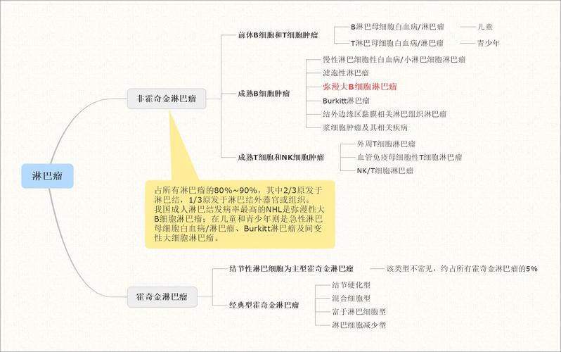 淋巴癌的分类。主要症状有哪些。