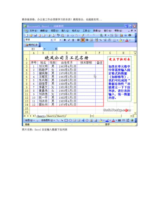 企业报表不会做。办公室经常用excel技巧,职场人必备