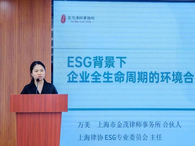 公益诉讼的律师参与