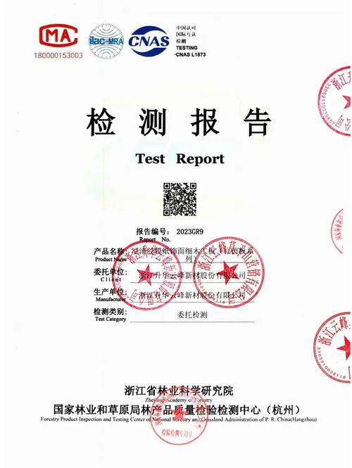 医疗设备维修检验报告解读:守护健康,科技护航