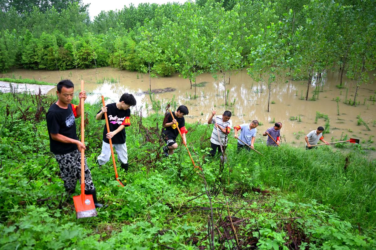 村级维修堤坝:筑牢防洪安全线,守护家园安宁