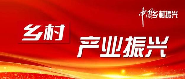 农村排水渠维修验收报告解读:保障农村水利安全,助力乡村振兴