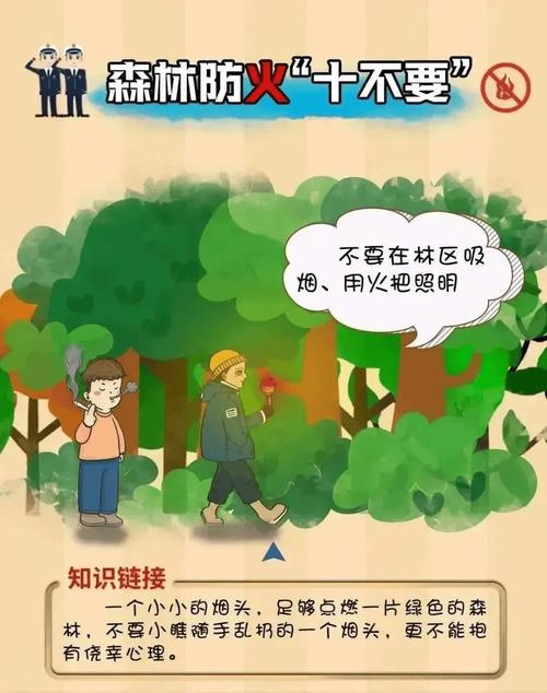 加强防火林道维修,筑牢森林安全防线