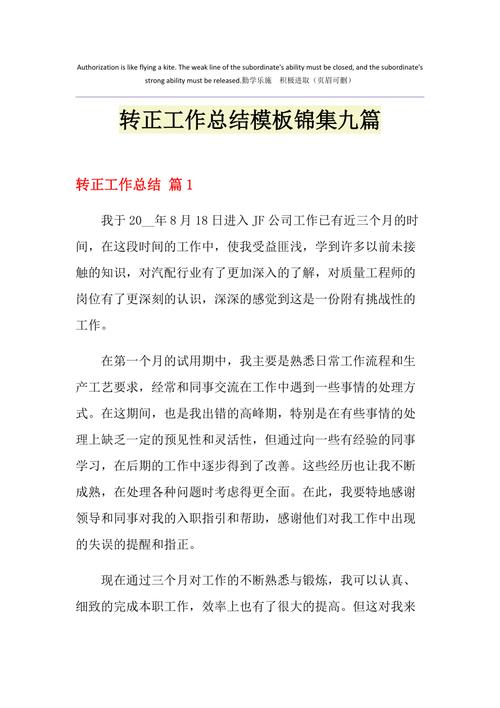 化工厂维修转正总结报告