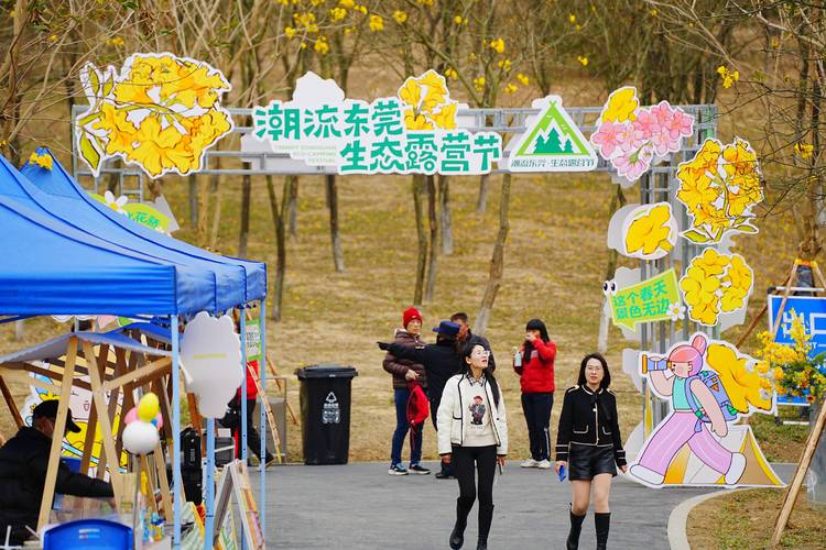 学校维修部门总结报告解读:聚焦问题,展望未来